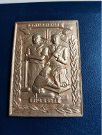 MEDAILLE RECTANGULAIRE EN BRONZE DORE CORNE "CONSCIENCE FIDELITE" - Profesionales / De Sociedad