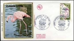 France - FDC - 1634 - Flamant Rose - 1970-1979