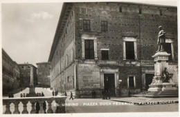 URBINO - PIAZZA DUCA FEDERICO - PALAZZO DUCALE - F.P. - Urbino