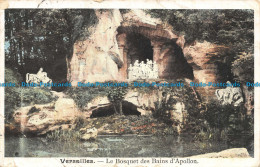 R138703 Versailles. Le Bosquet Des Bains DApollon - Wereld