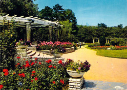 69 - Lyon - Roseraie, Parc De La Tête D'Or - Lyon 6