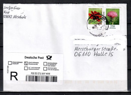 MiNr. 3199 + 3189, Blumen: Alpendistel, Auf E-Brief Von Meschede Nach Halle; B-1176 - Covers & Documents