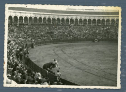 °°° Fotografia - N. 5753 Corrida °°° - Non Classés