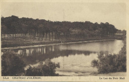 17093 01 01#3 - CHÂTEAU D'OLERON - LE LAC DU PETIT MAIL - Ile D'Oléron