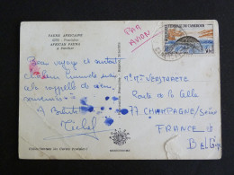 CAMEROUN CAMEROON AVEC YT 352 LAMANTIN - PANTHERE - Camerún (1960-...)