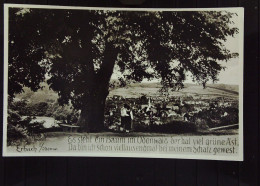 DR: AK Von Erbach Im Odenwald Mit SoSt. Vom 4.7.1938 Mit 6 Pfg Hindenburg - Erbach