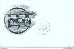 Ca487 Cartolina Militare Reggimento Nizza Cavalleria Www1 Prima Guerra - Régiments