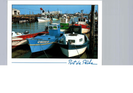Bateau De Pêche, Port Ostréicole Du Bec, L'espoids - Pesca