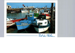 Bateau De Pêche, Port Ostréicole Du Bec, L'espoids - Visvangst