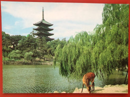 Japan - Nara - View Of Kofukuji Pagoda From Sarusawa Pond (c931) - Other & Unclassified