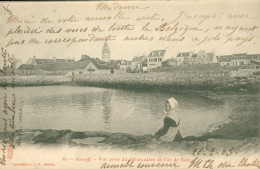 29-ROSCOFF-VUE PRISE DEPUIS LE DEBARCADERE DE L'ILE DE BATZ - Morlaix