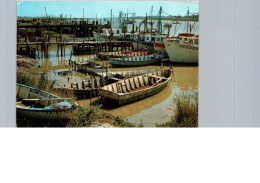 Bateaux De Pêche Et Barques, Port Le La Faute-Sur-Mer - Fischerei