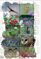 NETHERLANDS, 2023, MNH, EXPERIENCE NATURE, WIEDEN, BIRDS,OWLS, FLORA, FLOWERS,BUTTERFLIES, SHEETLET - Gufi E Civette