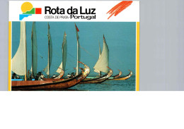 Régate De Barques De Ramasseurs De Goémons, à La Fête De Sao Paio Da Torreira - Sailing Vessels