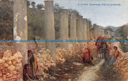 R139523 Samaria. The Colonnade. Celesque Series. Photochrom. 1912 - Mundo