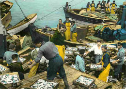 Metiers - Peche - Pecheur - Bretagne - Déchargement Delà Sardine - Editeur Réma - CPM - Voir Scans Recto-Verso - Fishing