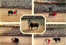 Corrida - Multivues - CPM - Voir Scans Recto-Verso - Corrida