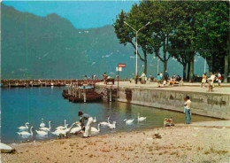 73 - Aix Les Bains - Lac Du Bourget - Le Petit Port Et Ses Cygnes - CPM - Voir Scans Recto-Verso - Aix Les Bains