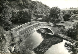 89 - Pierre-Perthuis - Vallée De La Cure - Le Pont Romain - CPSM Grand Format - Flamme Postale De Avallon - CPM - Voir S - Andere & Zonder Classificatie