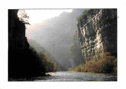 48 - Les Gorges Du Tarn - Jolie Vue - CPM - Voir Scans Recto-Verso - Gorges Du Tarn