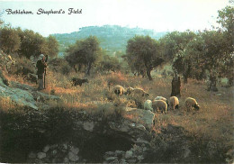 Animaux - Moutons - Israel - Bethlehem - Sheperd's Field - CPM - Carte Neuve - Voir Scans Recto-Verso - Otros & Sin Clasificación