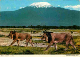 Animaux - Fauves - Lion - Kenya - Mont Kilimandjaro - CPM - Voir Scans Recto-Verso - Leones