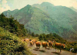 Animaux - Vaches - Pyrénées - En Route Vers Les Hauts Paturages - Montagnes - CPM - Voir Scans Recto-Verso - Koeien