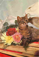 Animaux - Chats - Chatons - Flamme Postale - CPM - Voir Scans Recto-Verso - Chats