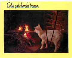 Animaux - Moutons - Agneau - CPM - Voir Scans Recto-Verso - Otros & Sin Clasificación