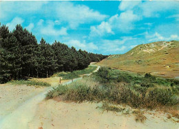 Pays-Bas - Nederland - Texel - CPM - Voir Scans Recto-Verso - Texel