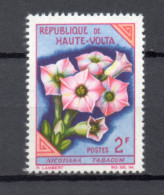 HAUTE VOLTA  N° 116      NEUF SANS CHARNIERE  COTE 0.35€    FLEUR FLORE - Alto Volta (1958-1984)