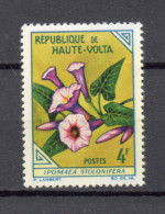 HAUTE VOLTA  N° 117      NEUF SANS CHARNIERE  COTE 0.35€    FLEUR FLORE - Haute-Volta (1958-1984)