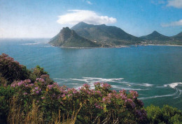 1 AK Südafrika * Blick Auf Hout Bay - Ein Ortsteil Von Kapstadt - Luftbildaufnahme * - Zuid-Afrika