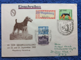 DDR - 1982 R-brief Aus Magdeburg. SST "XX. DDR Siegerausstellung. Sektion Dients Und Gebrauchshundewesen" - (2DMK012) - Covers & Documents