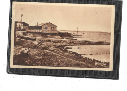 17-POINTE-du CHAPUS-MARENNES- Une Vue Du " CAFE*TOUT-AU-BOUT " Dégustation D'HUITRES - Sonstige & Ohne Zuordnung