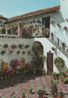 PATIO ANDALUZ COULEUR  REF 16630 - Otros & Sin Clasificación