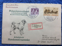 DDR - 1986 R-brief Aus Berlin Biesdorf - SST "XX. Allgemeine Rassehundeausstellung" (2DMK015) - Cartas & Documentos