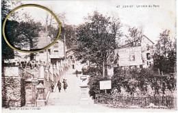 91 Essonne JUVISY Un Coin Du Parc - Juvisy-sur-Orge