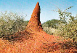 1 AK Namibia * Ein Termitenhügel * - Namibie