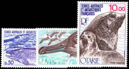 FSAT 1977 Antarctic Fauna Unmounted Mint. - Nuevos