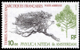 FSAT 1980 Phylica Nitida Unmounted Mint. - Nuevos