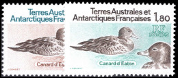 FSAT 1983 Pintails Unmounted Mint. - Unused Stamps