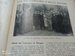 L’APICOLTORE D’ITALIA 1939 LISCIANO NICCONE PERUGIA PASSIGNANO SUL TRASIMENO - Sonstige & Ohne Zuordnung