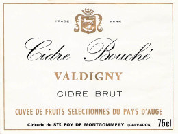 ALIMENTATION ETIQUETTES ALCOOL CIDRE BOUCHE BRUT VALDIGNY PAYS D AUGE SAINTE FOY MONTGOMMERY  9 X 12 CM - Alcoholes Y Licores