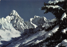 74-CHAMONIX MONT BLANC-N°T2696-A/0077 - Chamonix-Mont-Blanc