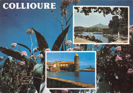 66-COLLIOURE-N°T2697-A/0163 - Collioure