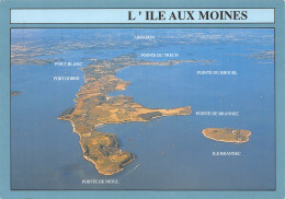 56-ILE AUX MOINES PANORAMA-N°T2696-C/0271 - Ile Aux Moines