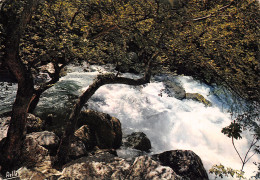 84-LA FONTAINE DE VAUCLUSE-N°T2698-A/0187 - Autres & Non Classés