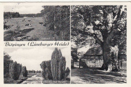 Bispingen, Lüneburger Heide, Mehrbildkarte Gl1961 #G3444 - Autres & Non Classés