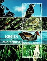 MONTSERRAT 2009 Mi BL 126 BIRDS MINT MINIATURE SHEET ** - Montserrat